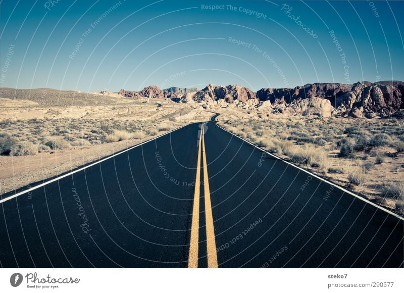 Valley of Fire Cloudless sky Bushes Mountain Street Far-off places Free Blue Yellow Black Freedom Horizon Vacation & Travel Valley of fire Colour photo