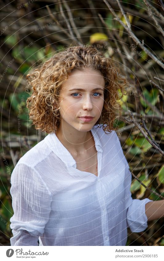 Young woman near dry twigs of bushes Woman Bushes Twig Attractive Plant Youth (Young adults) Branch Charming Dry Nature Lifestyle Summer Curly