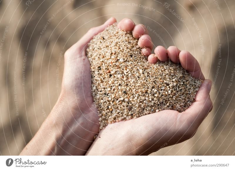 L.O.V.E. is in your hands Hand Beach Ocean Sand Sign Heart Positive Brown Gold Happy Love Infatuation Romance Lovesickness Esthetic Loneliness Formation