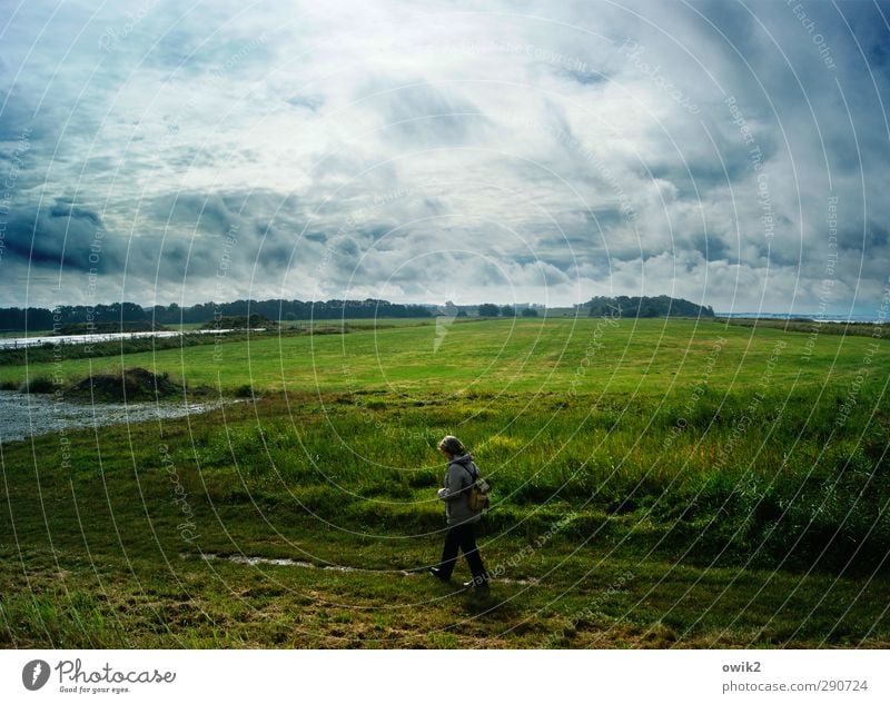 At the Achterwasser Far-off places Hiking To go for a walk Promenade Woman Adults 1 Human being Environment Nature Landscape Plant Water Sky Clouds Horizon