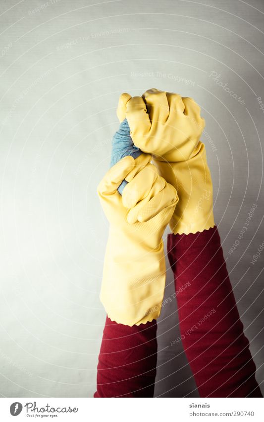 spring cleaning Hand 1 Human being Workwear Protective clothing Gloves Wet Dry Blue Yellow Red Services Do the dishes Rinse Floor cloth Cleaner Rotate Cleaning