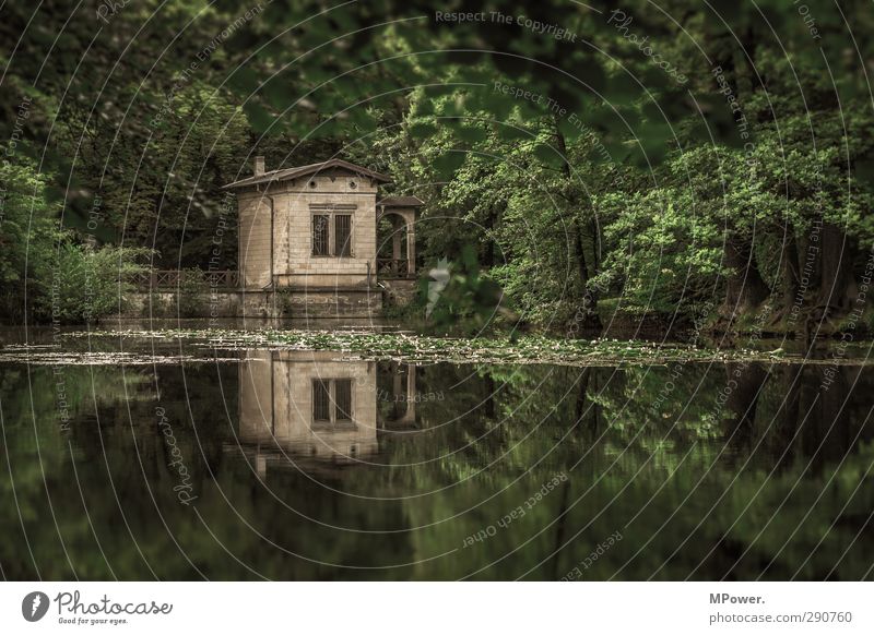 house on the lake Landscape Water Summer Lakeside Oasis Green House (Residential Structure) Reflection Forest Park Old Water lily Colour photo Exterior shot Day