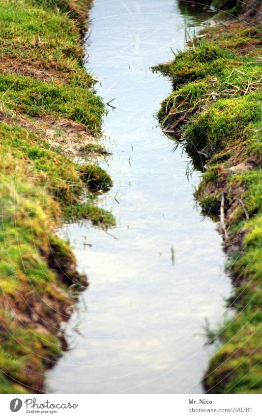 mini - fjord Environment Nature Landscape Water Grass Moss Meadow Field Bog Marsh Brook Wet Dirty Offroad Tractor track Puddle River bank Earth