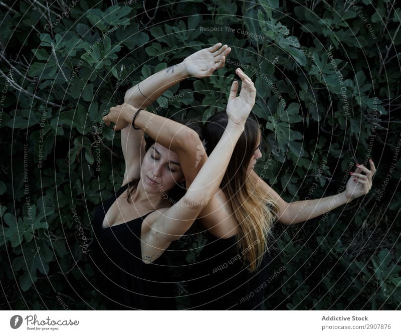 Young women posing near green bush Woman Mysterious Bushes lunatic upped hands Closed eyes Posture Youth (Young adults) Lady Plant Green Nature Dream sleepy