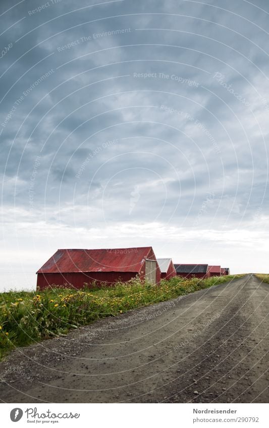 peripheral phenomenon Senses Calm Far-off places Freedom Landscape Clouds Spring Summer Climate Grass Meadow Coast Ocean Fishing village Deserted