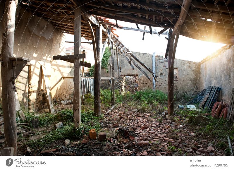 BACKDOOR Village Deserted Ruin Building Wall (barrier) Wall (building) Old Historic Broken Original Trashy Gloomy Senior citizen Apocalyptic sentiment