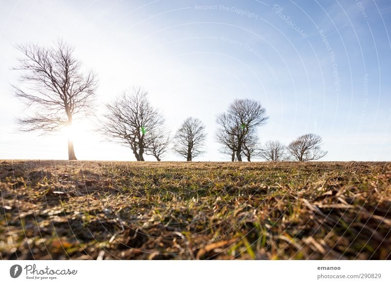 weather books Environment Nature Landscape Plant Sky Horizon Sun Autumn Winter Climate Climate change Weather Wind Tree Grass Park Meadow Field Forest Hill