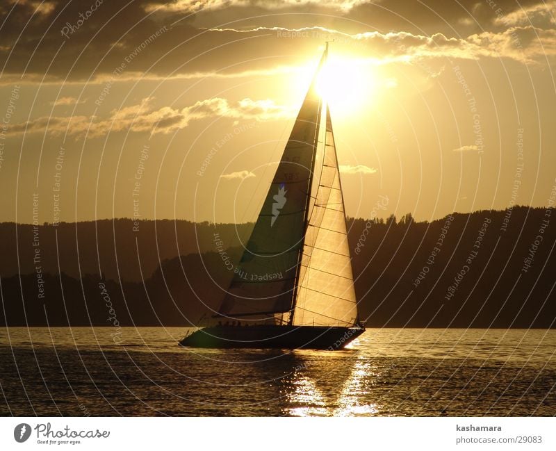 ...sooo beautiful sailing can be... Summer Sun Sports Sailing Water Sky Clouds Horizon Lake Sailboat Sailing ship Watercraft Brown Yellow Gold Lake Lucerne