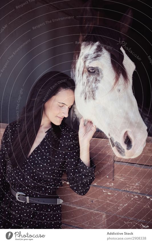 Woman near amazing horse in stall Horse Stall Amazing Youth (Young adults) Beautiful Closed eyes Attractive Charming Dress Touch Animal equestrian stallion