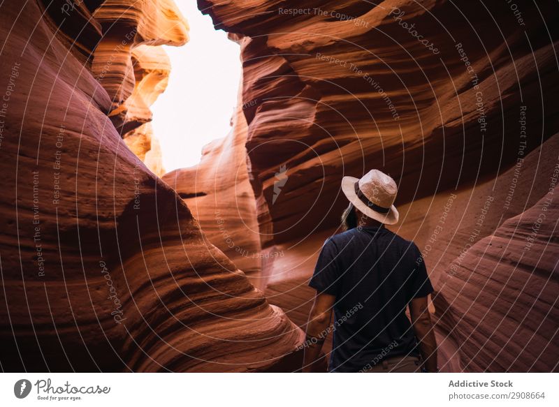 Bearded traveler looking at ravine walls Man Wall (building) Vacation & Travel Rough West Coast USA Nature Rock Adventure Trip Tourism bearded Formation Erosion