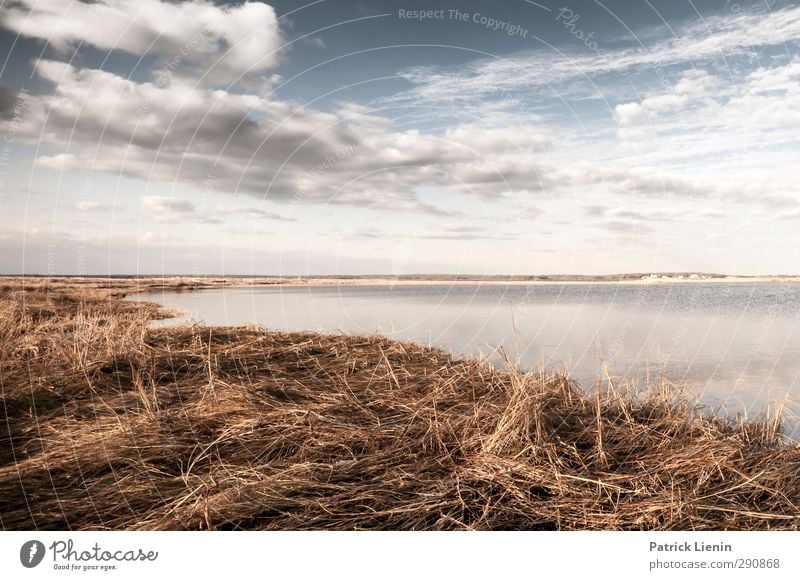 Stay till it snows Environment Nature Landscape Plant Elements Water Sky Clouds Storm clouds Sunlight Spring Weather Bushes Waves Coast Lakeside Bay Freedom