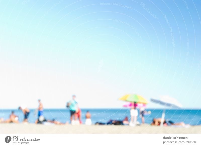 the other day on the beach without glasses Vacation & Travel Tourism Summer Summer vacation Sun Sunbathing Beach Ocean Human being Group Relaxation Dye