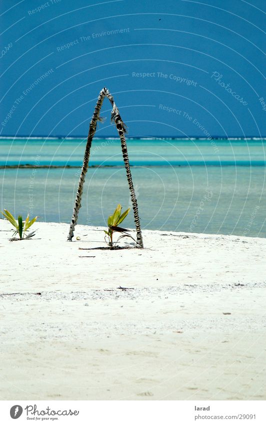 Aitutaki Dreams Caribbean Sea Lagoon Beach Ocean Idyllic beach Reef Los Angeles Cook Islands Coconut palm Sand Sky