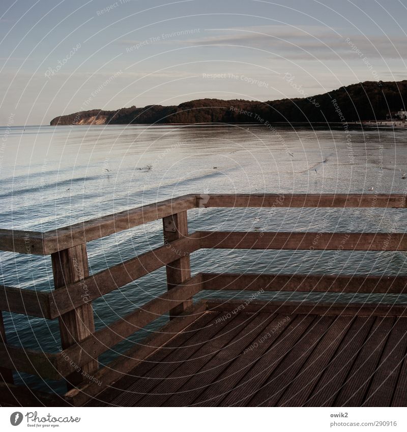 pier blues Environment Nature Landscape Water Sky Horizon Summer Climate Weather Beautiful weather Warmth Coast Sea bridge Binz Germany