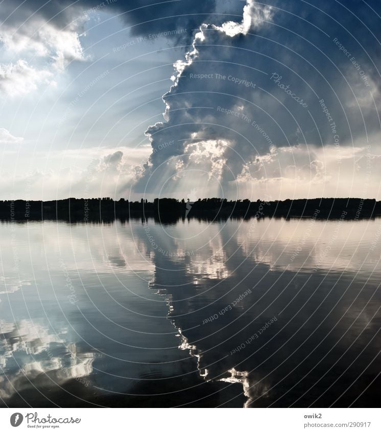 smoking island Environment Nature Landscape Water Sky Clouds Horizon Climate Weather Beautiful weather Forest Lake Idyll Environmental pollution Far-off places