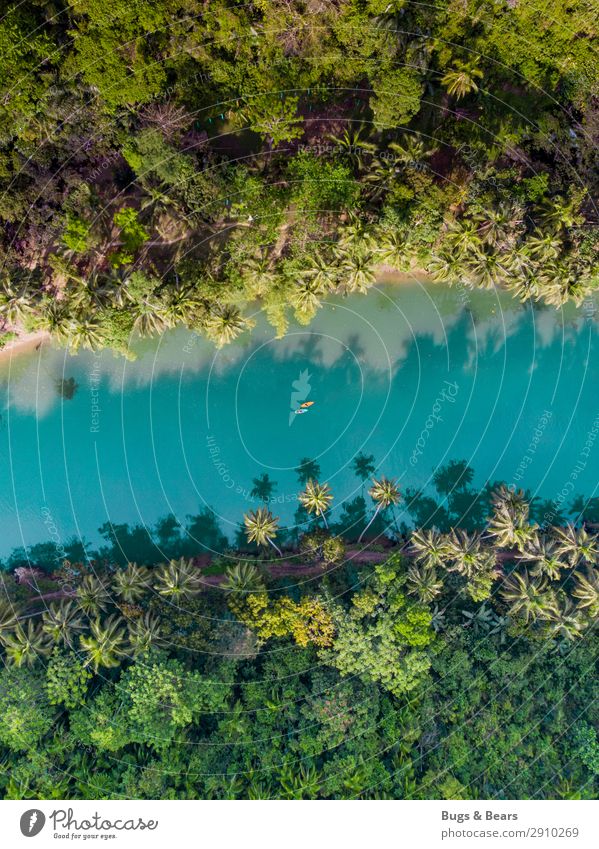 Kayaking through the jungle Couple Partner 2 Human being Nature Water Beautiful weather Virgin forest River bank Adventure Palm tree Philippines