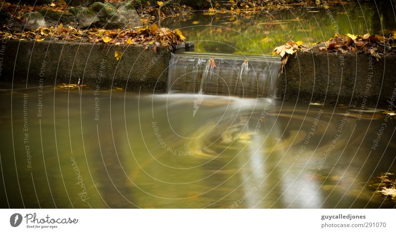 Eisbach Nature Landscape Water Autumn Leaf Forest River Waterfall Munich Germany Relaxation Contentment Moody Dream München Colour photo Exterior shot Deserted