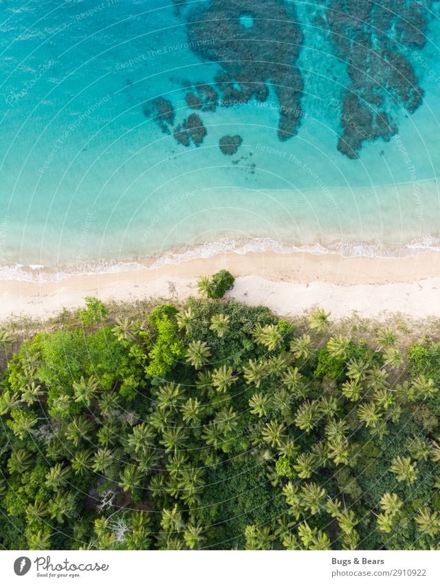 dream beach Nature Water Summer Beautiful weather Virgin forest Waves Coast Beach Reef Coral reef Ocean Island Oasis Happy Adventure Paradise Idyllic beach