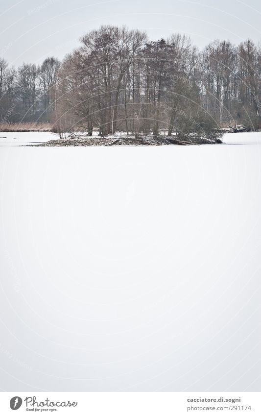 below zero Landscape Winter Snow Tree Lakeside Island Kreuzteich Brunswick Esthetic Far-off places Infinity Bright Cold Beautiful White Moody