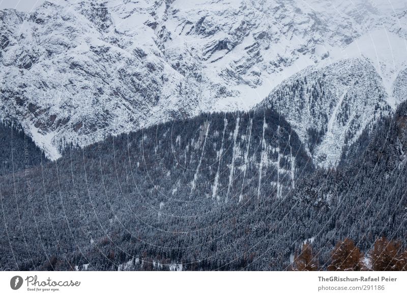 mountain world Environment Nature Landscape Bad weather Ice Frost Snow Engadine Switzerland Brown Green Black White Forest Avalanche Logging Forest path Rock