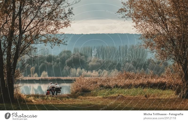 Idyll by the lake Vacation & Travel Human being Woman Adults Man Couple Partner Senior citizen 2 Nature Landscape Water Sky Sunlight Beautiful weather Tree