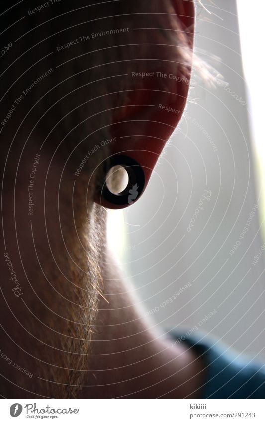 point Ear Boy (child) Facial hair Hair and hairstyles Piercing Tunnel Shallow depth of field Blur Neck Light Vista Passage Transparent Hollow Circle Ring