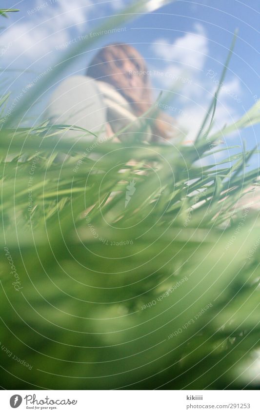 worm's-eye view Worm's-eye view Girl Grass Green Meadow Sky Under Wind Blow Blade of grass Looking Summer Shallow depth of field Blur