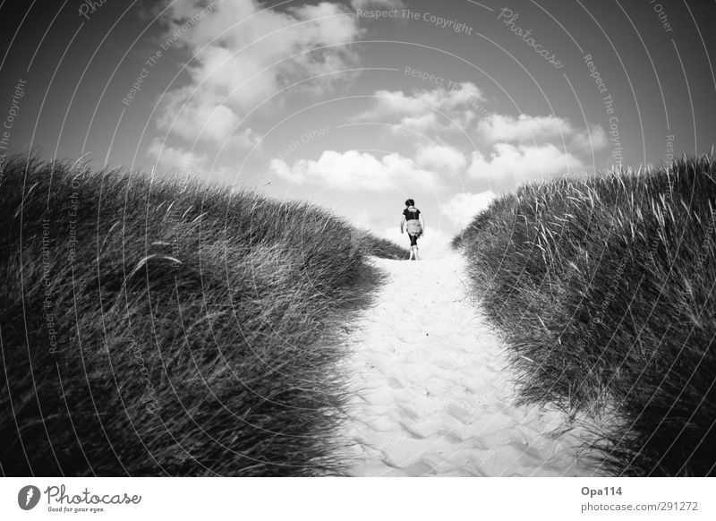 Long Way Home Human being Feminine Woman Adults Mother 1 30 - 45 years Nature Landscape Plant Animal Sky Clouds Summer Foliage plant Coast Beach Ocean Island