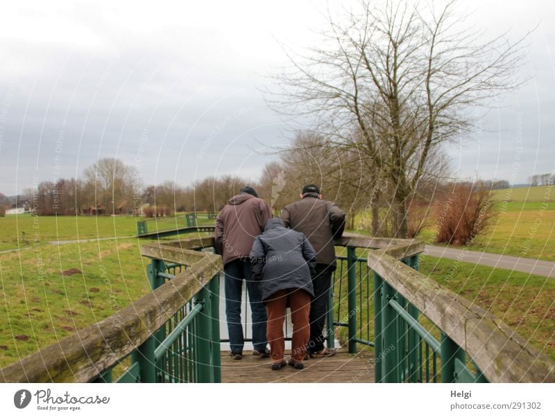 Rear view of three people looking over a railing into a small river Winter Human being Masculine Feminine Woman Adults Man Female senior Male senior