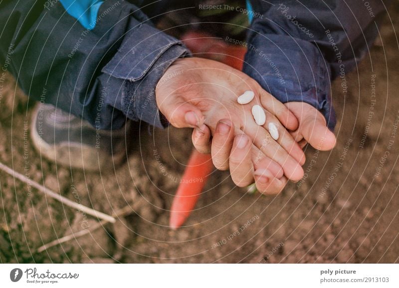 Child holds beans seeds in hand Leisure and hobbies Playing Vacation & Travel Boy (child) Family & Relations Infancy Life Hand Fingers 1 - 3 years Toddler