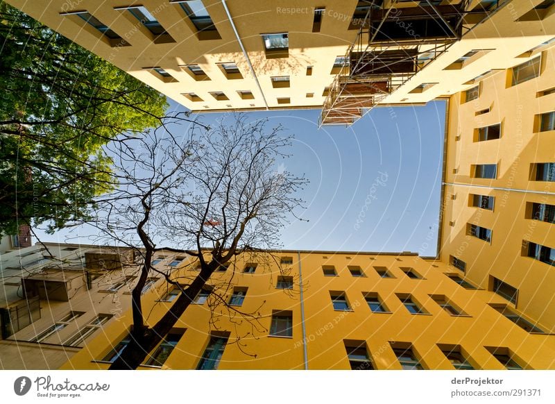 The window to the yard 04 Capital city Deserted House (Residential Structure) Dream house Manmade structures Building Architecture Wall (barrier)