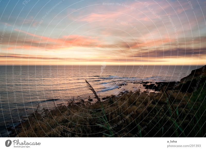 sao juliao nighttime Environment Nature Landscape Plant Elements Water Sky Clouds Horizon Sunrise Sunset Summer Beautiful weather Grass Bushes Hill Rock Waves