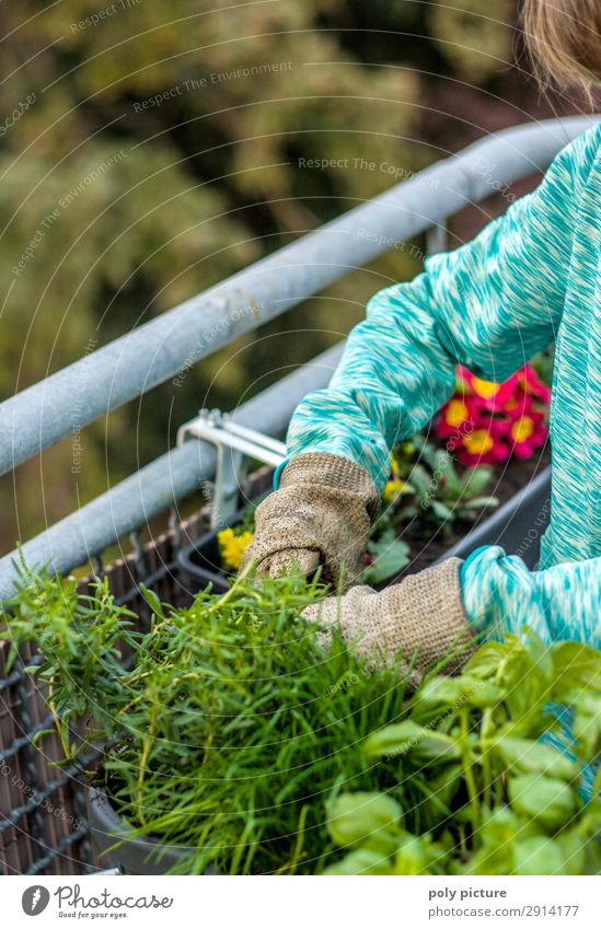 Spring awakening on the balcony Lifestyle Leisure and hobbies Girl Young woman Youth (Young adults) Infancy 1 Human being 13 - 18 years Nature Summer