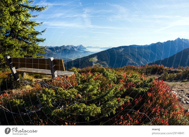 A place to dream Relaxation Calm Meditation Nature Autumn Alps Mountain Bench Wanderlust Loneliness Vantage point Far-off places Colour photo Multicoloured