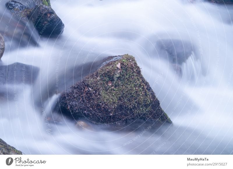 Blurred motion of water Beautiful Life Environment Nature Landscape Tree Leaf Park Forest Rock Brook River Waterfall Stone Movement Fresh Long Wet Natural Blue