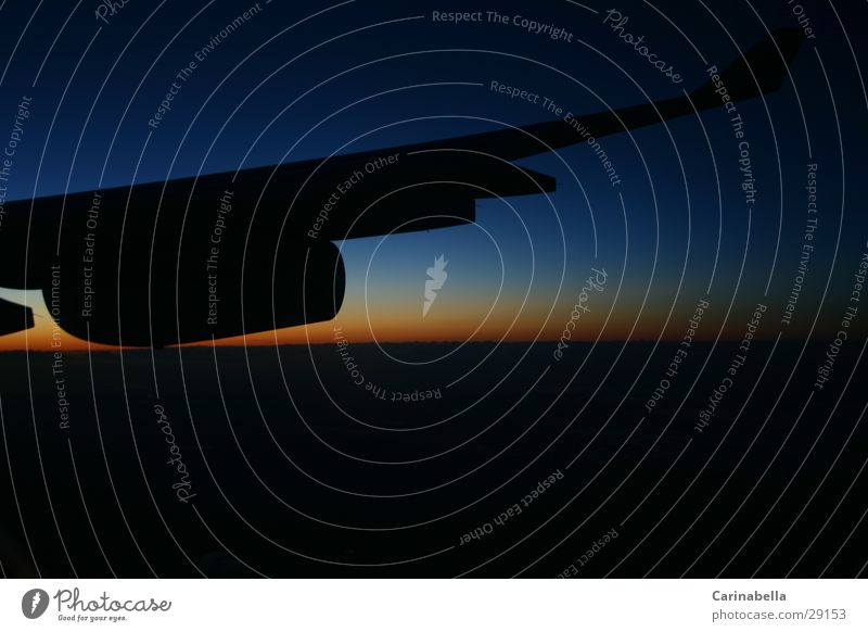 horizon Horizon Sunrise Morning Aviation Wing Dawn nozzle