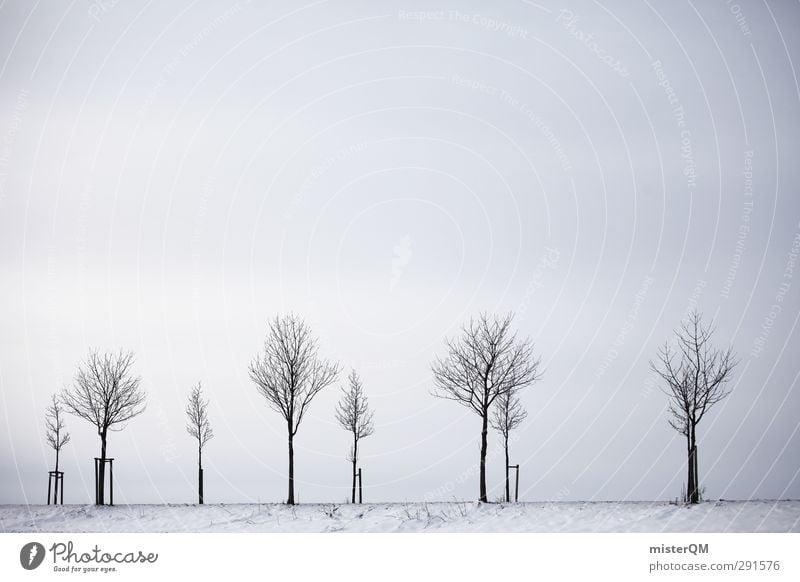 Gray to gray. Environment Esthetic Winter Winter mood Winter's day Winter morning Tree Avenue Sparse Country road Dreary Colour photo Subdued colour