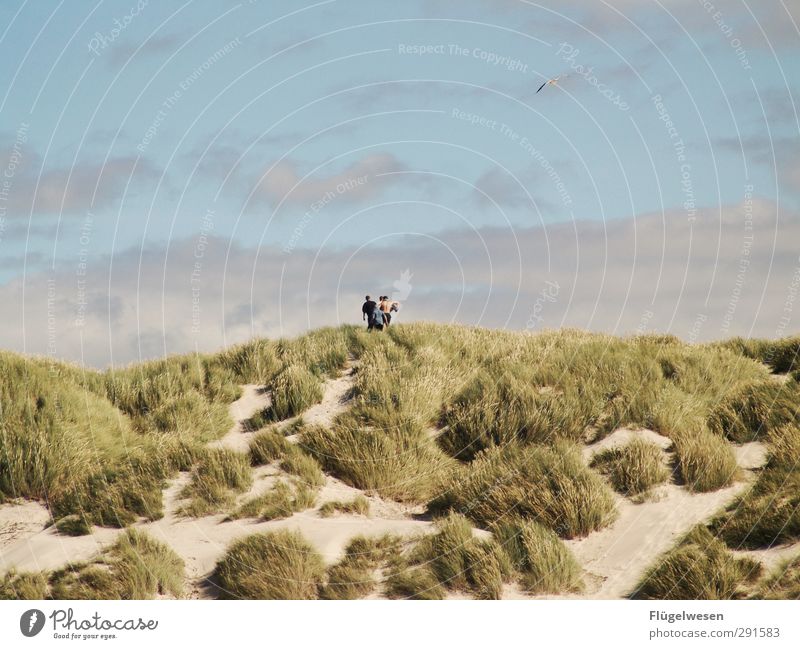 far away Lifestyle Leisure and hobbies Group Crowd of people Waves Coast Lakeside River bank Beach North Sea Baltic Sea Ocean Hiking Dune Beach dune