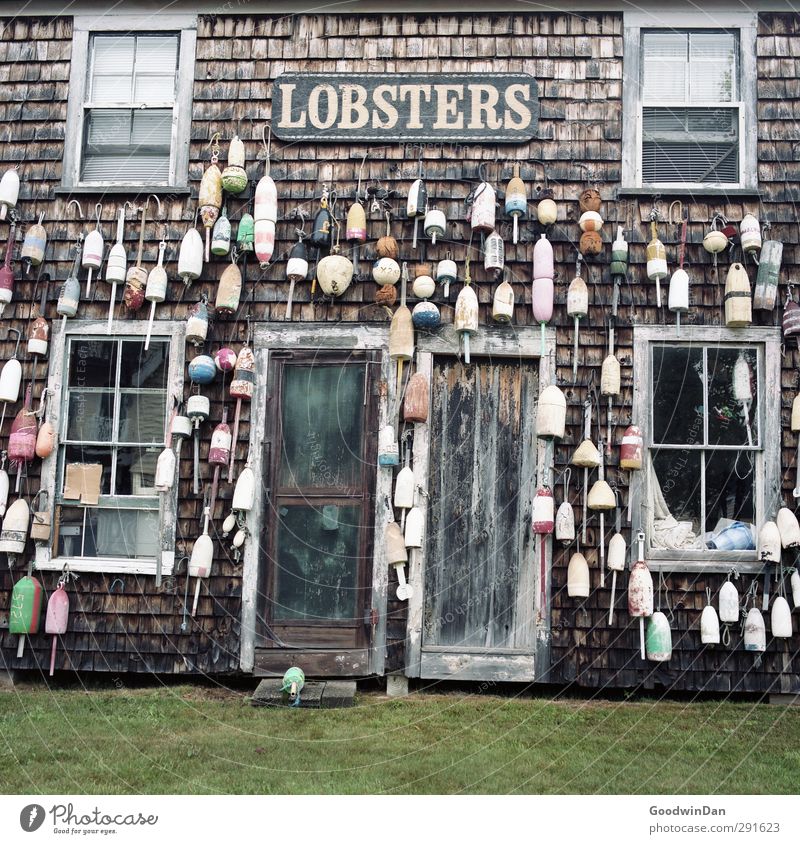 Protein poisoning. Environment Nature Fishing village Hut Facade Window Door Old Authentic Exceptional Dirty Trashy Gloomy Moody Colour photo Exterior shot