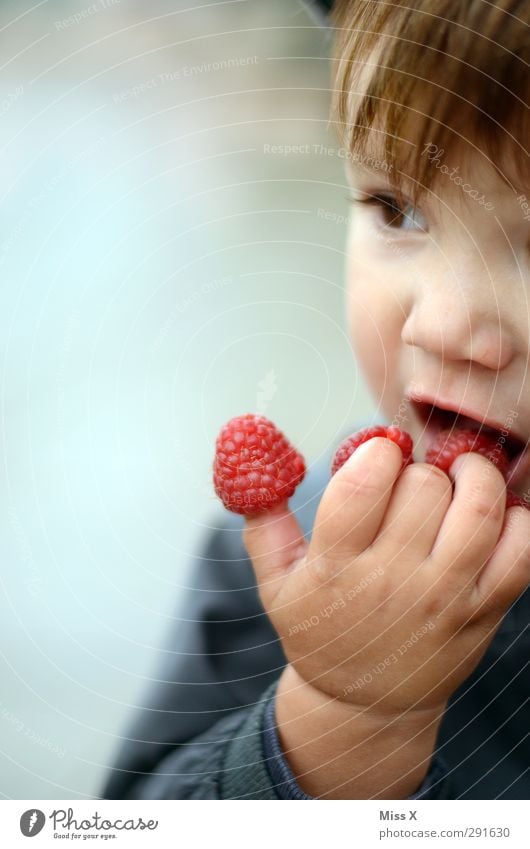 Loisl needs more summer Food Fruit Nutrition Eating Organic produce Human being Child Toddler 1 1 - 3 years Fresh Delicious Cute Juicy Sweet Red Fingers