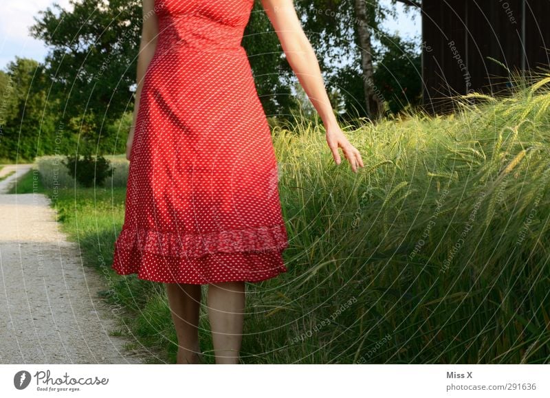 summer day Human being Young woman Youth (Young adults) 1 18 - 30 years Adults Field Dress Beautiful Red Wheat Wheatfield Colour photo Exterior shot Evening