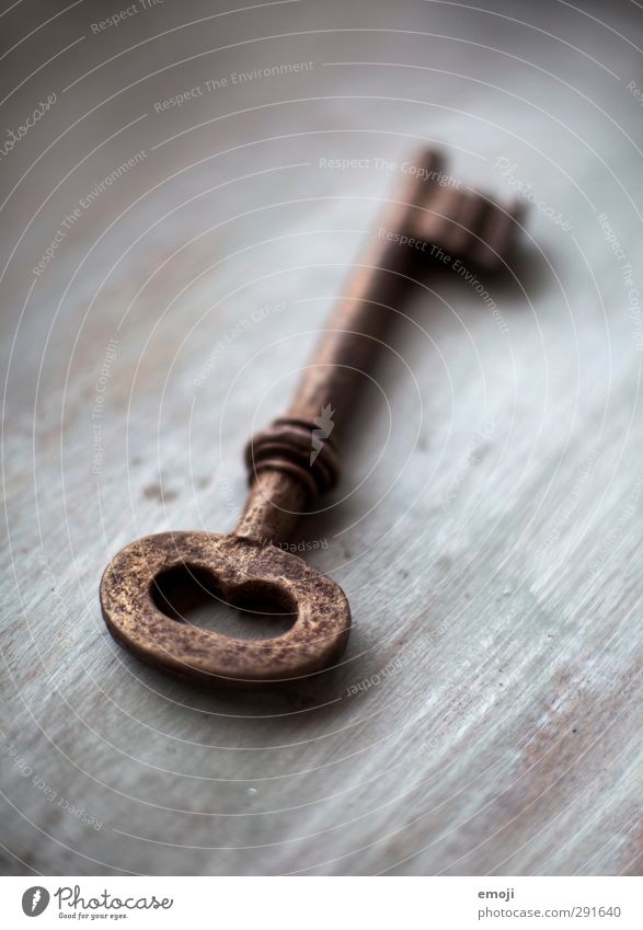 key Souvenir Collection Collector's item Metal Sign Key Old Dark Colour photo Interior shot Close-up Deserted Neutral Background Day Shallow depth of field