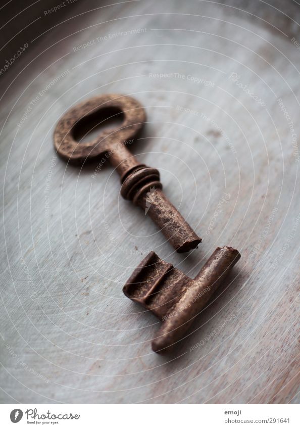 women's power Souvenir Collection Collector's item Metal Sign Key Old Exceptional Colour photo Interior shot Close-up Deserted Neutral Background Day