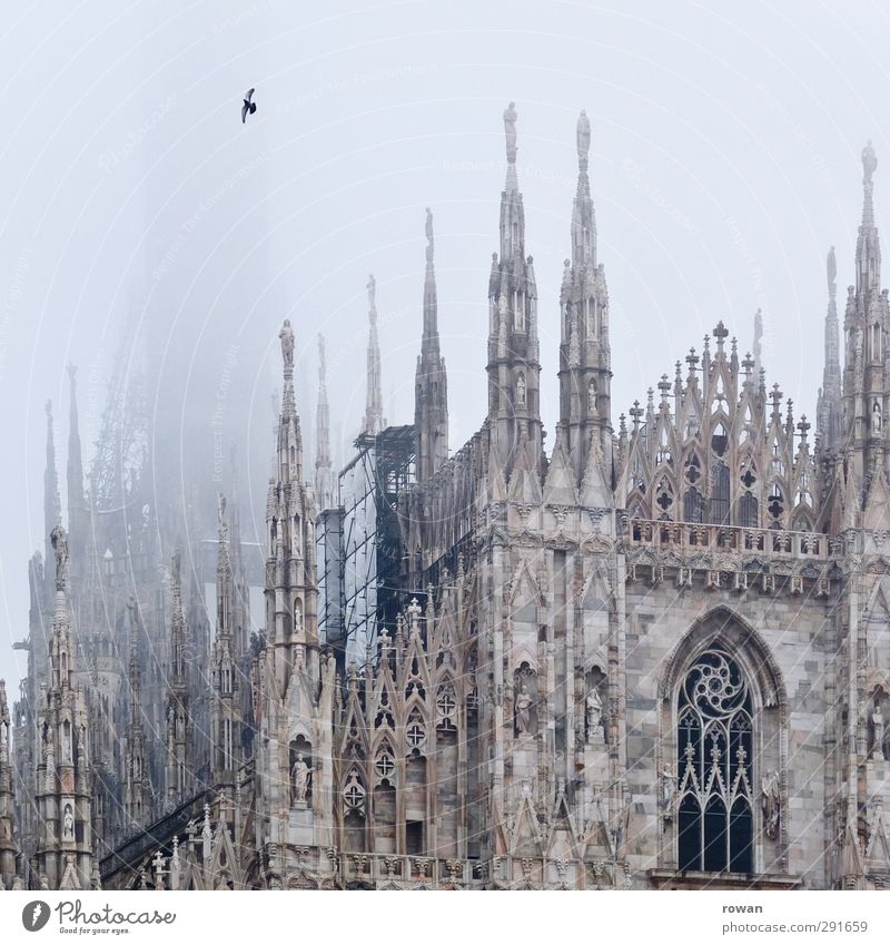 cathedral bird Church Dome Manmade structures Building Architecture Facade Tourist Attraction Landmark Bird Exceptional Dark Creepy Gloomy Culture