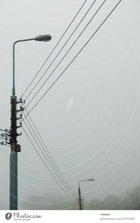 lanterns Bad weather Storm Fog Bushes Cold Cable Street lighting Connection Wired Parallel Electricity Gray Dark Line Colour photo Subdued colour Exterior shot