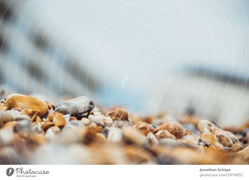 Stones on the beach close-up Environment Nature Coast Lakeside River bank Beach Ocean Island Esthetic Brighton England Pebble beach Macro (Extreme close-up)