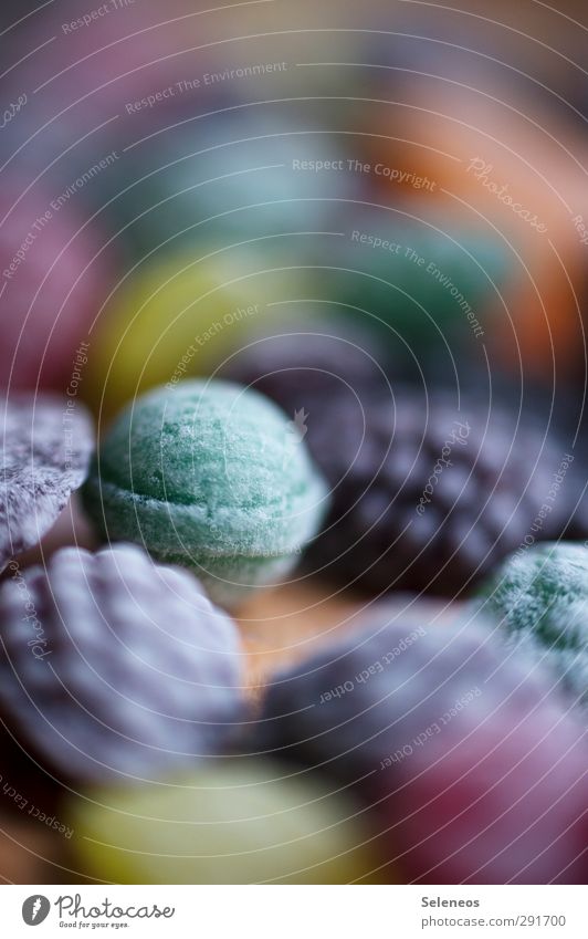 sugar snap pea Food Candy Sugar Nutrition Eating Delicious Sweet Multicoloured Colour photo Deserted Copy Space top Copy Space bottom Day Shallow depth of field