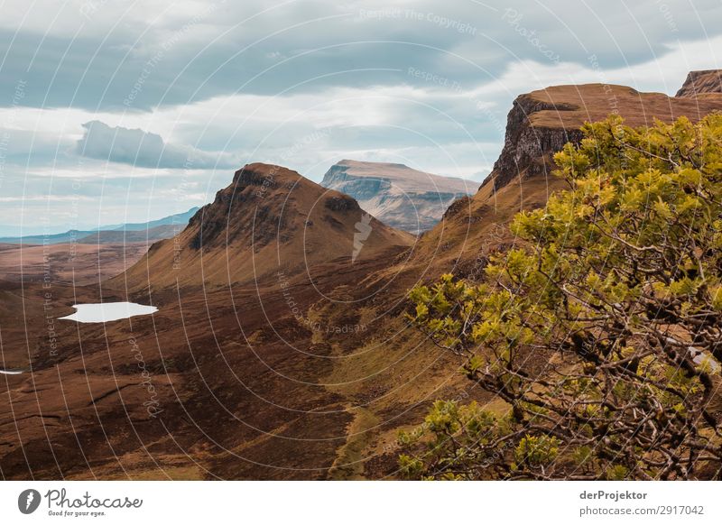 Hike across the Isle of Skye VI Panorama (View) Lake coast Lakeside Landscape Rock Bay Beautiful weather Summer Animal Plant Waves Environmental protection