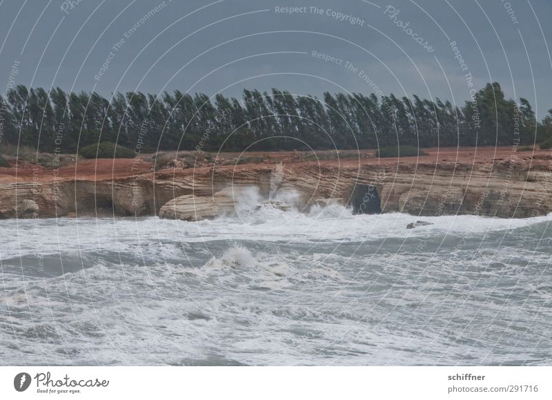 wave pool Environment Nature Landscape Elements Earth Water Clouds Storm clouds Bad weather Wind Gale Waves Coast Bay Ocean Threat Dark Gloomy Cliff Tree Rock