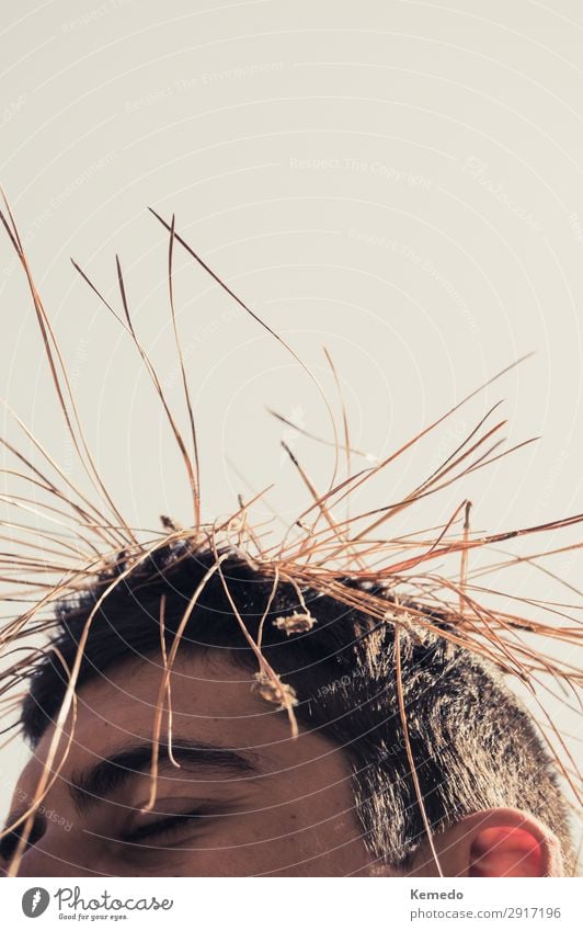 Young man with closed eyes and hair full of twigs and plants. Lifestyle Exotic Hair and hairstyles Healthy Harmonious Well-being Senses Relaxation Calm